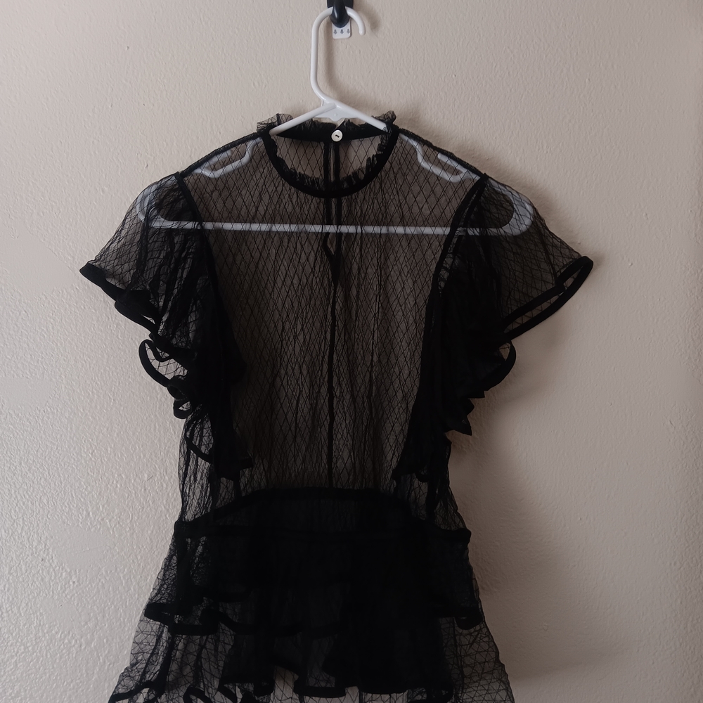 Forever 21 Black Sheer Ruffle Top